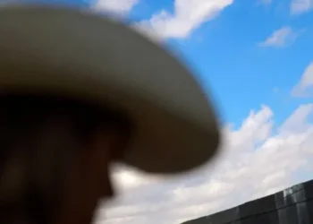 Masked agents raid protest camp to fell centuries-old ‘grandmother tree’ for border wall