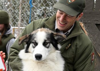 National park declares a winner in ‘Chunky Puppy Day’ contest