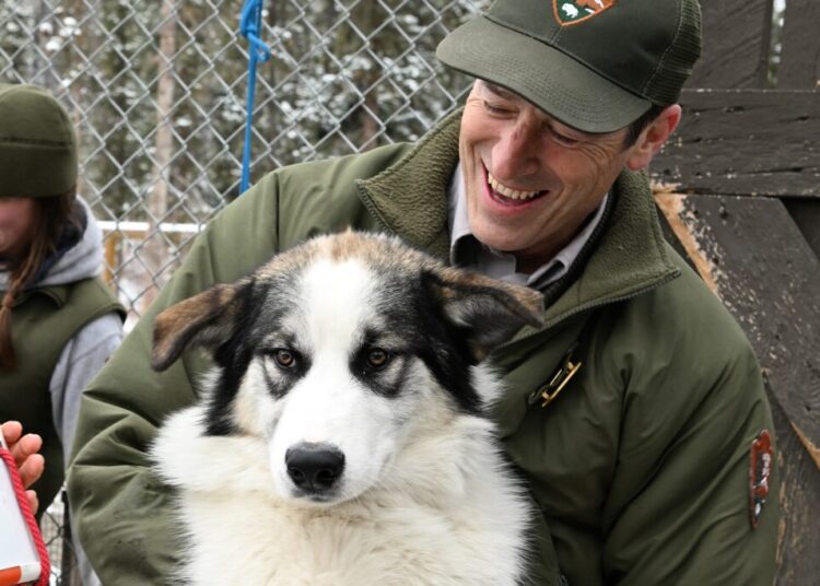National park declares a winner in ‘Chunky Puppy Day’ contest