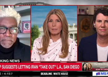 ‘Insane!’ Nicolle Wallace flabbergasted by Trump’s latest bombing fantasy