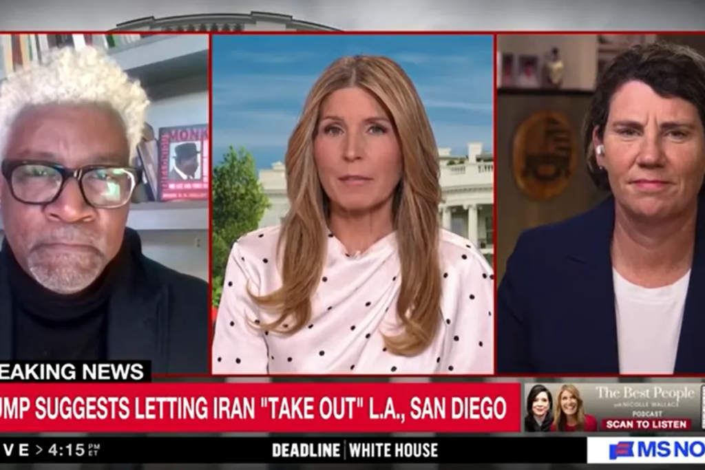 ‘Insane!’ Nicolle Wallace flabbergasted by Trump’s latest bombing fantasy