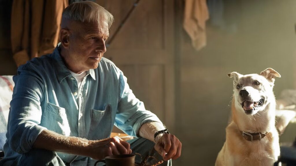 ‘NCIS: Origins’ Boss Unpacks Season 3 Premiere Shooting and Taking Gibbs Into the ‘Biggest Mission of His Life’