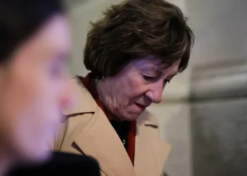 ‘Devastating’: Glee erupts as Susan Collins’ ‘road salt’ boast blows up in her face
