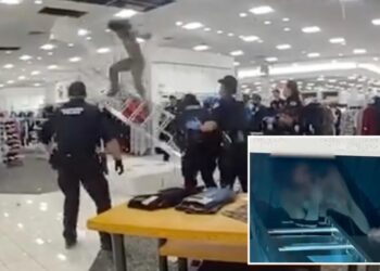 Shirtless burglar hiding in ceiling of Macy’s store dramatically falls from overhead space: shocking video