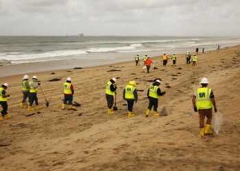 It’s too late to restore the ocean. Now all we can do is triage