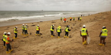 It’s too late to restore the ocean. Now all we can do is triage