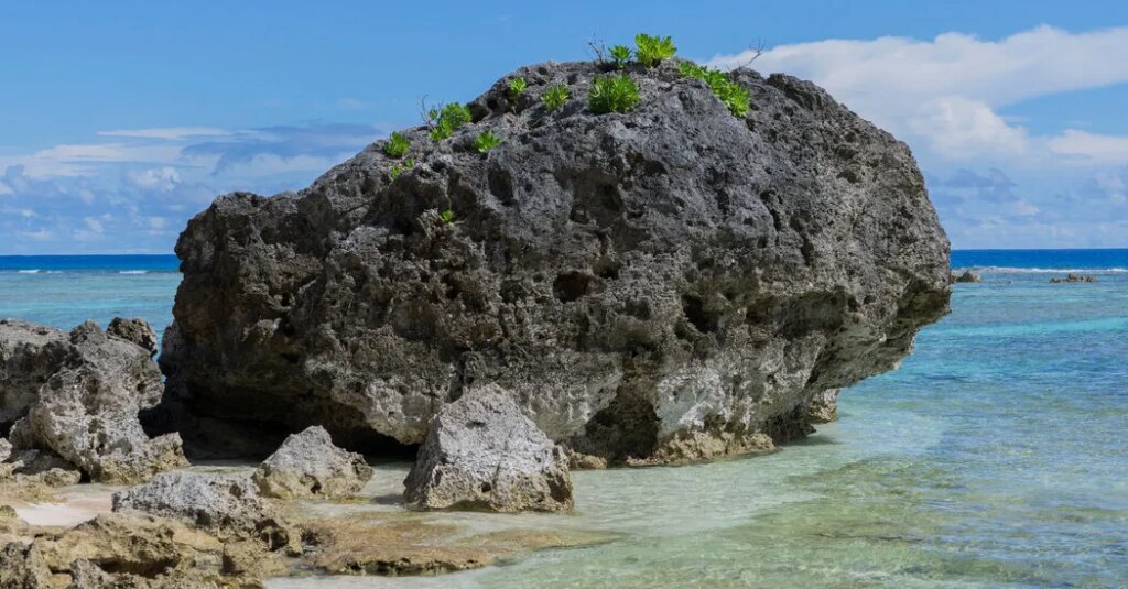 The Military Explodes Bombs on This Beach. Is It Following the Law?