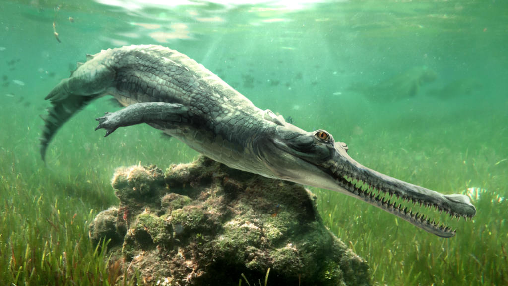 Scientists identify a crocodile they never knew existed