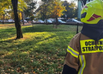 19-year-old student in Poland injures 8 people in a school attack