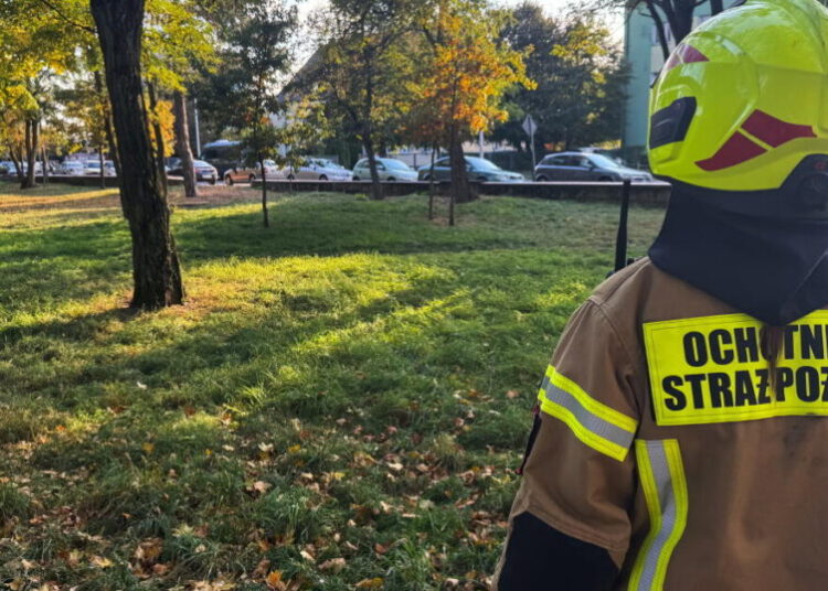 19-year-old student in Poland injures 8 people in a school attack