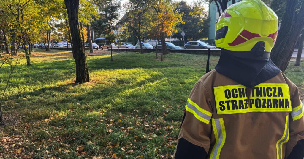 19-year-old student in Poland injures 8 people in a school attack