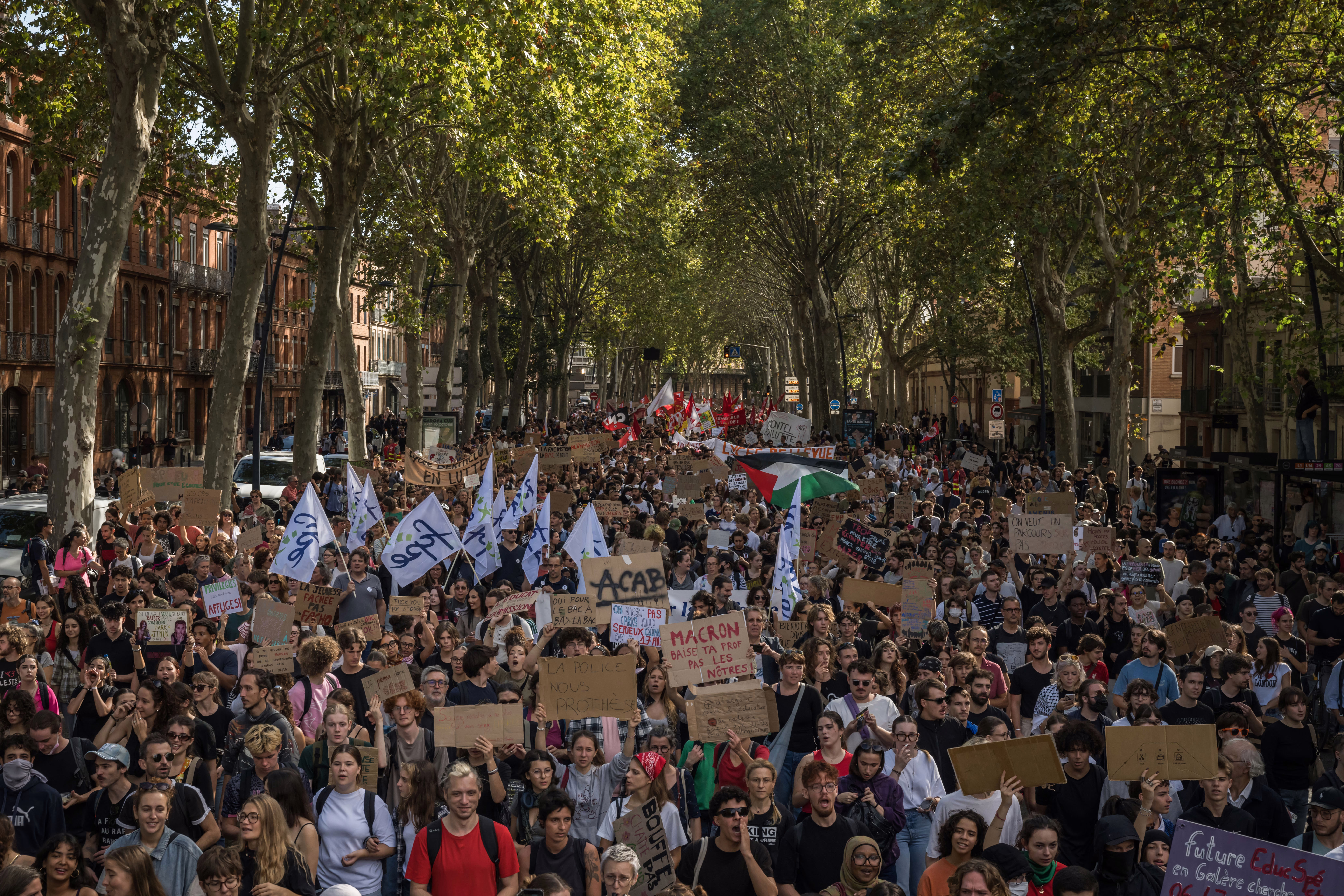 A large crowd of protesters marches on a tree-lined avenue.