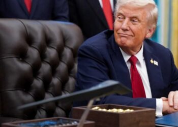 ‘We are hobbled’: Election watchdog at standstill before midterms after Trump disruption
