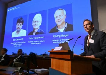 The Science Behind the Nobel-Winning Technology That Controls Neurons With Light