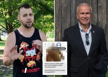 Ohio political blogger to stand trial for sending GOP state senator explicit Shrek photo