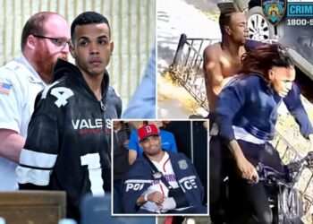 Illegal migrant who allegedly stabbed detective during brutal NYC robbery wore bizarre Halloween mask: sources