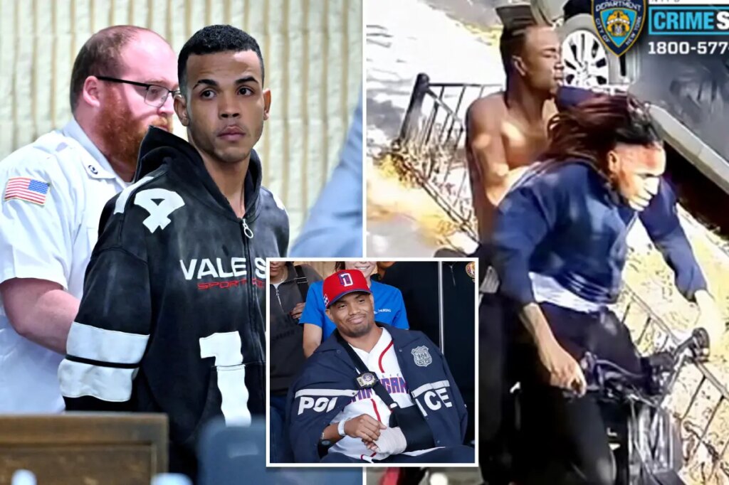 Illegal migrant who allegedly stabbed detective during brutal NYC robbery wore bizarre Halloween mask: sources