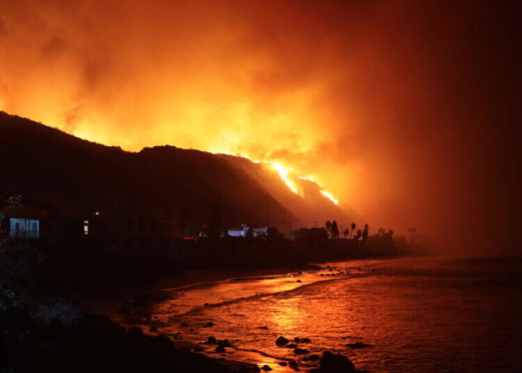 Charge wildfire arsonists with cruelty to animals