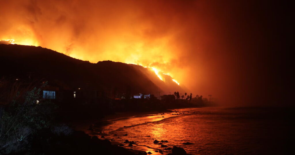 Charge wildfire arsonists with cruelty to animals
