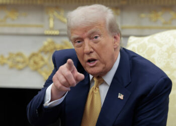 Meet the Nobel Peace Prize Contenders Who Could Beat Trump This Year