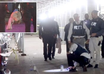 Boy, 15, shot dead by stray bullet outside NYC housing complex: cops, sources