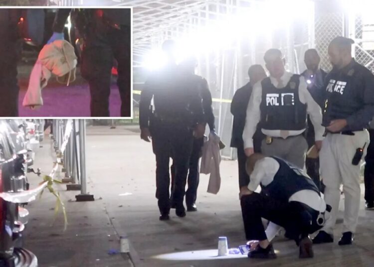 Boy, 15, shot dead by stray bullet outside NYC housing complex: cops, sources
