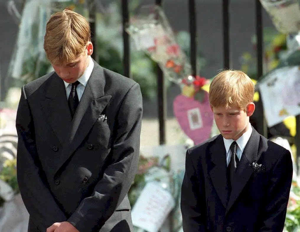 Prince Harry and William at Diana's funeral