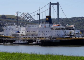 Trump Administration Considers Using Ships to Deport Immigrants