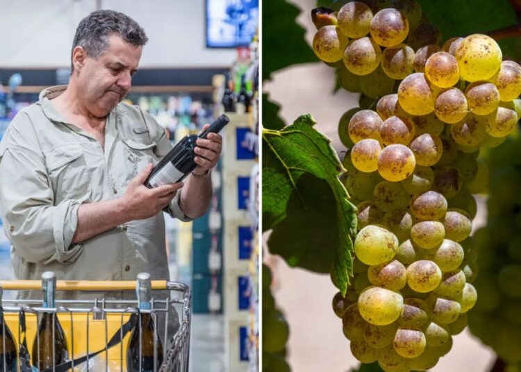 California’s wine crisis hits new low as luxe bottles sent to Costco, Aldi and Kroger for knock down prices
