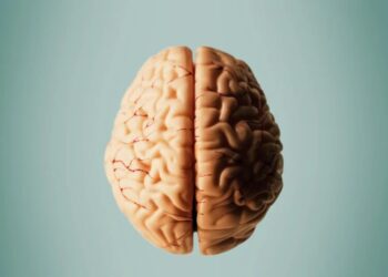 Is this the cure for Alzheimer’s?