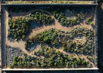 World’s largest wildlife crossing is on track to open this winter — unless El Niño intervenes