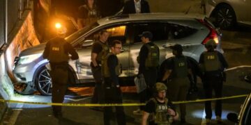 ICE Agent Shoots and Wounds Man in New York City