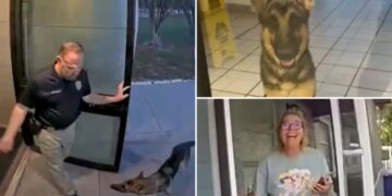 Lost Florida dog shows up at police station — as officer helps reunite ‘K-9 applicant’ with tearful owner