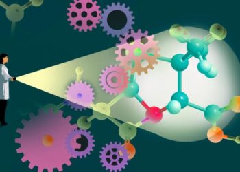 Why We Must Invest in Scientists, Not Just Science
