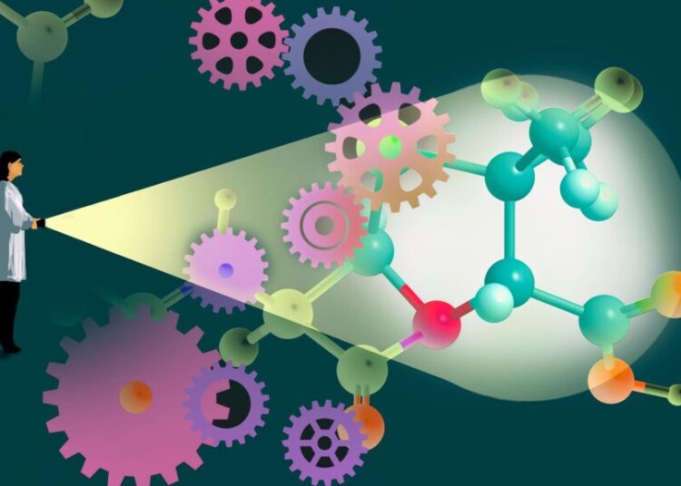 Why We Must Invest in Scientists, Not Just Science