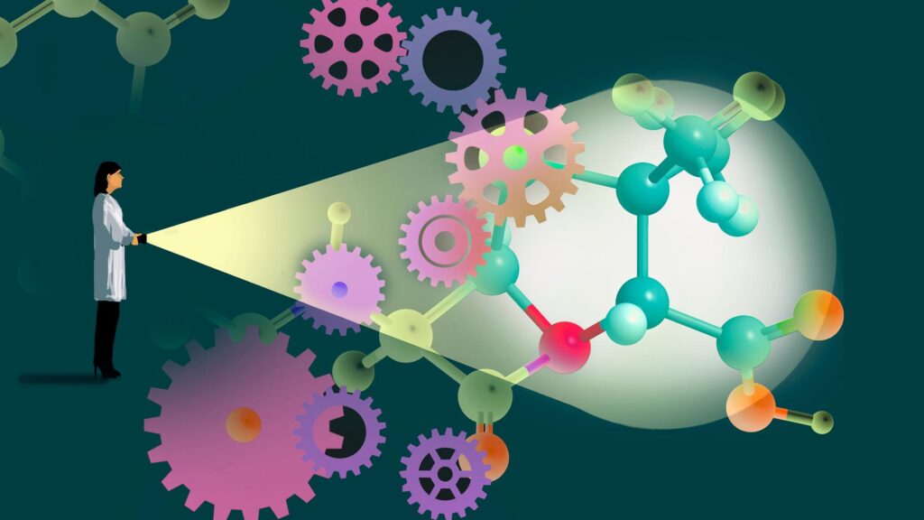 Why We Must Invest in Scientists, Not Just Science