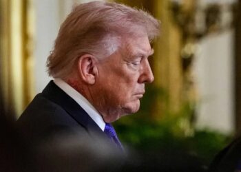 ‘They see the writing on the wall’: Trump voters urging GOP candidates to flee president