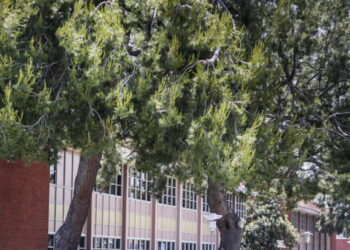 ‘Circling like sharks’: Companies are buying up L.A. County’s $4-billion sex abuse settlement