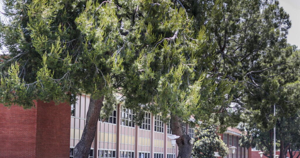 ‘Circling like sharks’: Companies are buying up L.A. County’s $4-billion sex abuse settlement