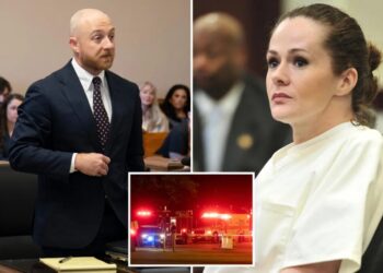 Christa Pike suffering ‘cognitive challenges’ and ‘profound psychological trauma’ after botched execution: lawyers