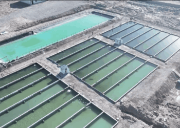 China Wants to Sell The World on Xinjiang Farmed-Fish