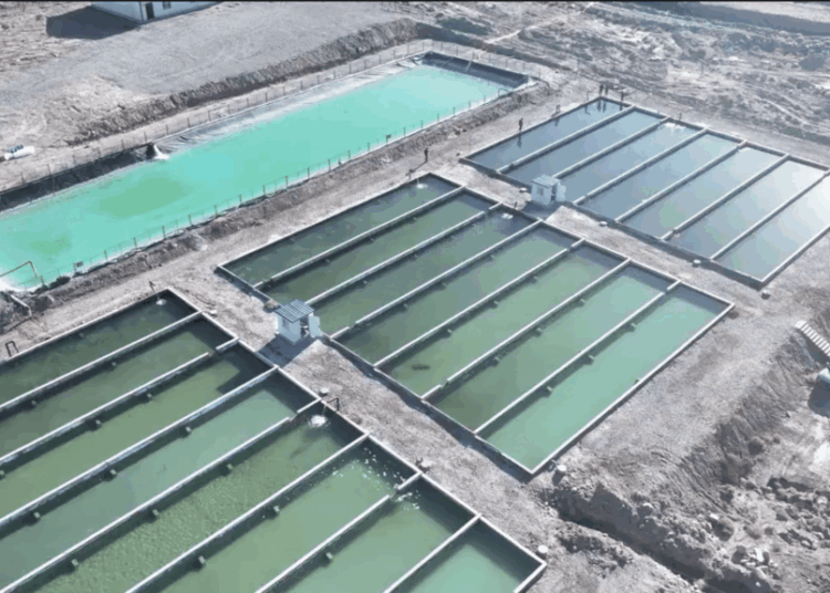 China Wants to Sell The World on Xinjiang Farmed-Fish
