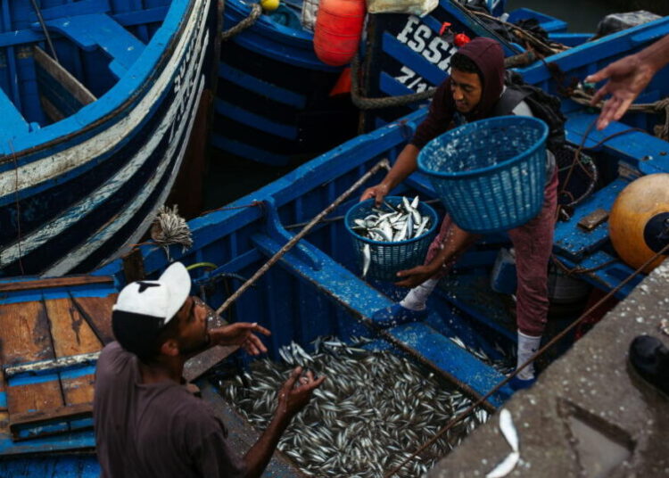 The hidden cost of farmed fish: Pollution, forced labor and the depletion of wild fish
