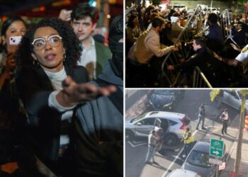 Darializa Avila-Chevalier, Mamdani-backed DSA NY pol, rips NYPD for protecting ICE ‘militia’ after migrant shooting
