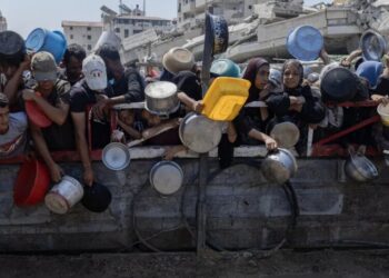 Israel Denounces the Decision to Award the Nobel Peace Prize to Navi Pillay