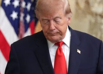 Trump struck a diesel deal with Putin just weeks after signing Russia sanctions. Zelenskyy calls it ‘a weak decision’