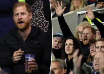 Prince Harry booed during surprise low-key appearance at UK rugby match