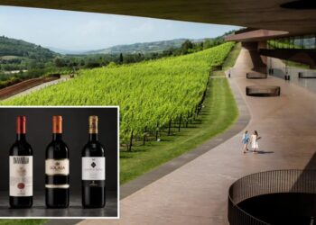 Thieves pull off Italy’s biggest-ever wine heist, stealing 30,000 bottles worth $5.8M