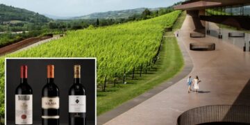 Thieves pull off Italy’s biggest-ever wine heist, stealing 30,000 bottles worth $5.8M