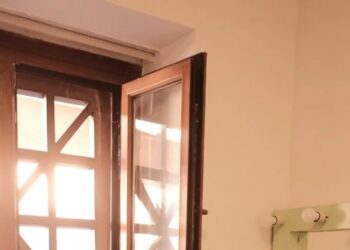 Jailed for a Joke, a Turkish Comic Delivers a Passionate Defense in Court